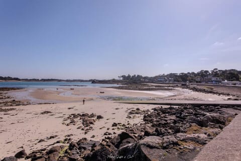 Sun loungers