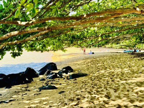 Sun loungers, beach towels