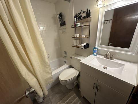 Combined shower/tub, hair dryer, towels, soap