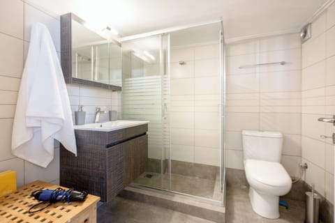 Combined shower/tub, hair dryer, towels, soap