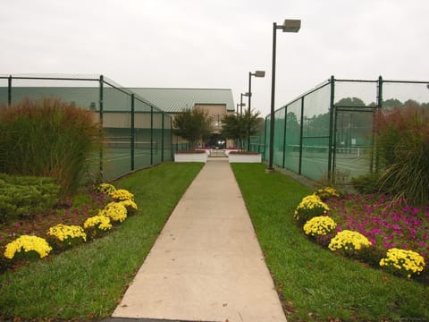 Sport court