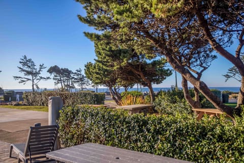 Premium Site Y 182 R (5)