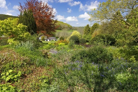 Nearby gardens at Cae Hir, borders, trees and shrubs