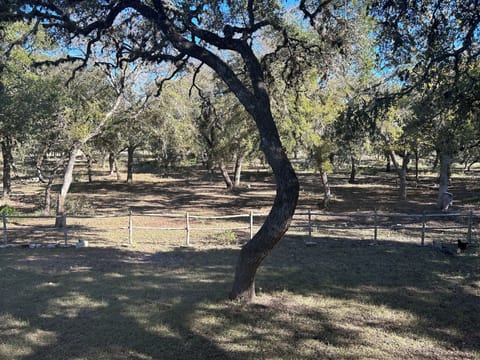 Huge yard lots of shade and fire pit