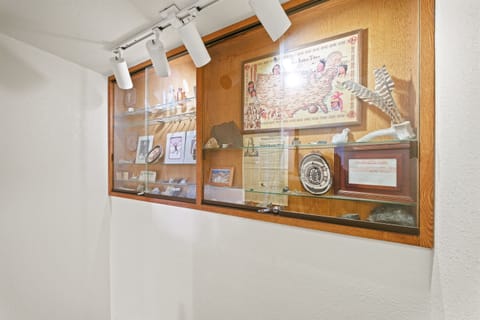 Ouray region artifacts