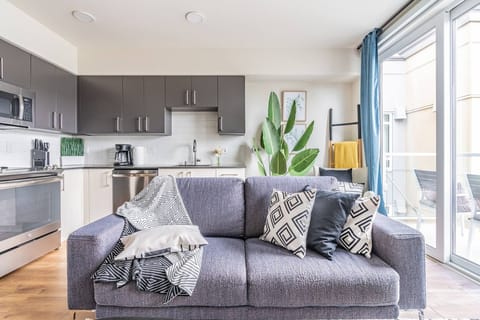 Living room and kitchen