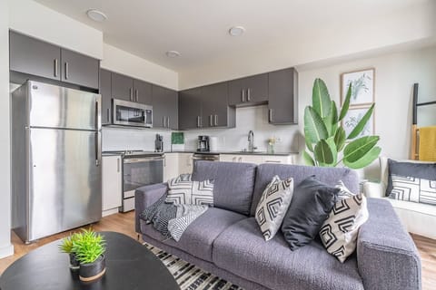 Kitchen and living room