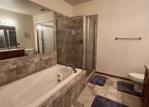 Shower, jetted tub, hair dryer, soap