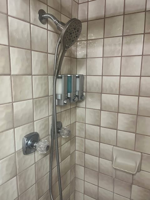 Shower, jetted tub, hair dryer, bidet