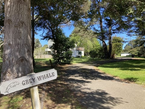 Grey Whale -  Welcome to Grey Whale