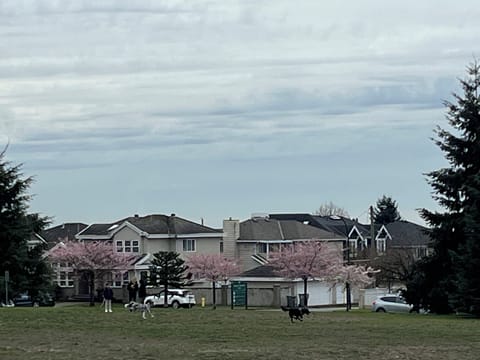 Safe neighbourhood, 1 block from big spacious QE park for joggers & golf etc