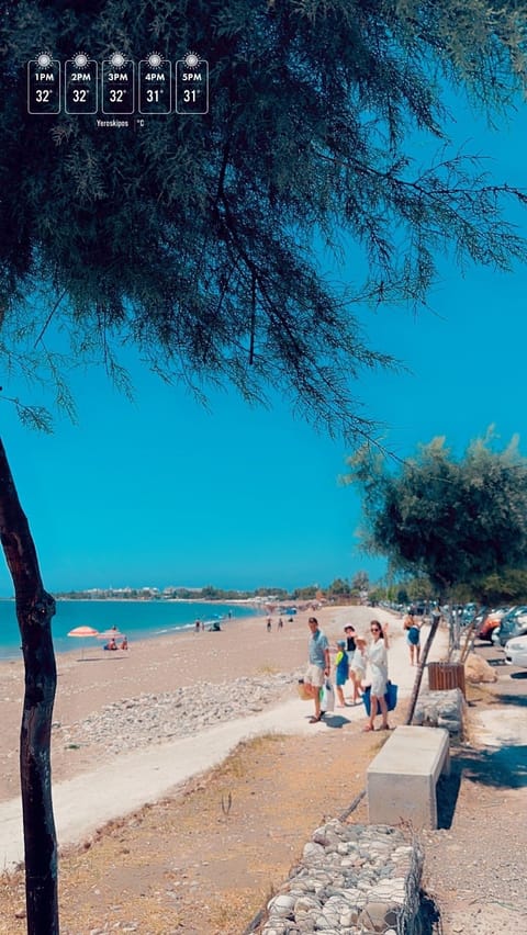 Sun loungers, beach towels