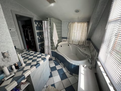 Shower, jetted tub, hair dryer, towels