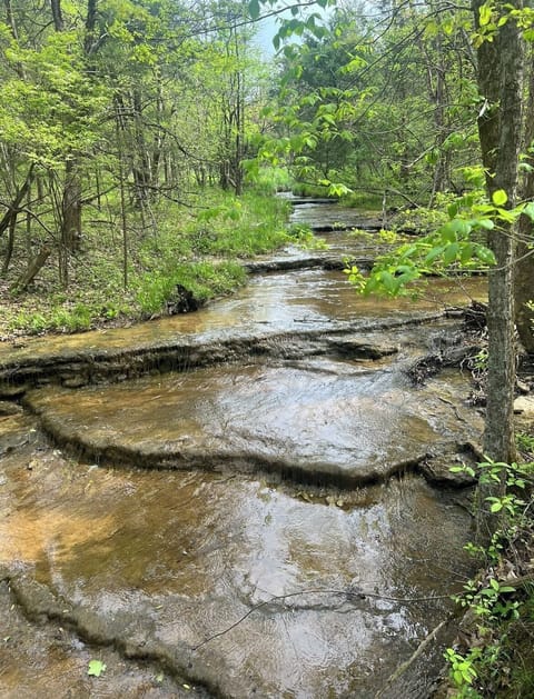 Brook that runs behind the house.