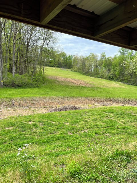 Acreage view from back patio.