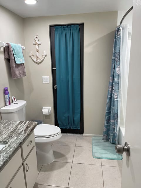 Combined shower/tub, hair dryer, towels, toilet paper