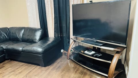 Smart TV, fireplace, books, computer monitors