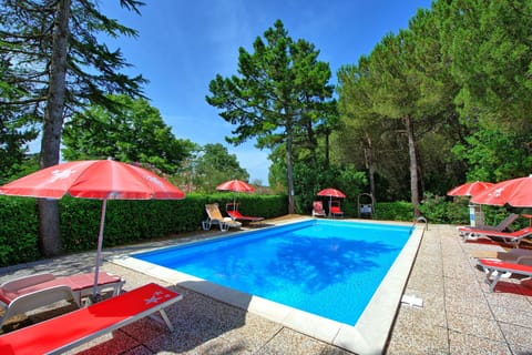 Garden, Outdoor, Pool