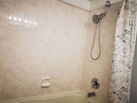 Combined shower/tub, hair dryer, towels, soap