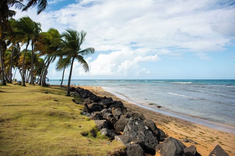 Beach nearby, sun loungers, beach towels