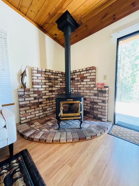 TV, fireplace, books