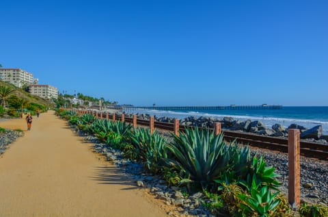 Sun loungers, beach towels