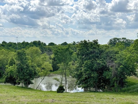 A small pond on the property offers a peaceful spot to walk and enjoy nature.