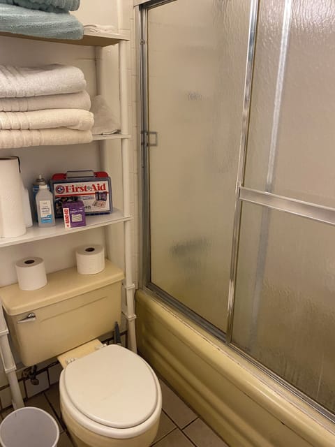 Combined shower/tub, hair dryer, towels, soap