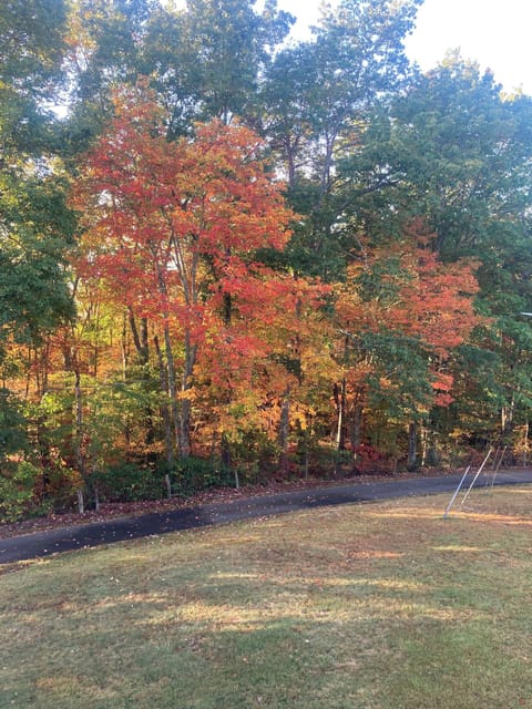Private road view from your unit in the fall
