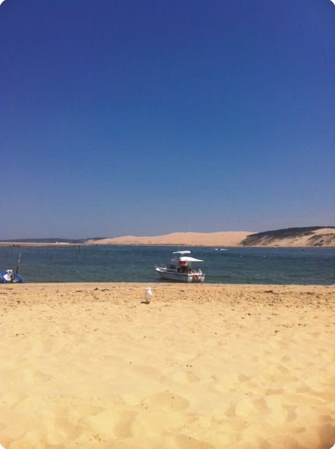 Sun loungers, beach towels