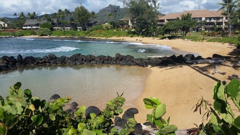 On the beach, sun loungers, beach towels