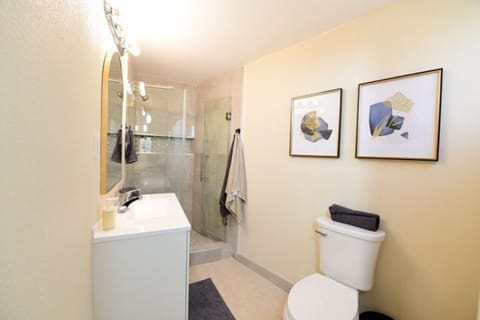 Combined shower/tub, hair dryer, towels, soap