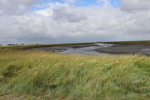 Surroundings [summer] (1-5 km)