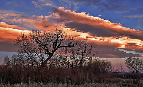 Cherry Creek State Park