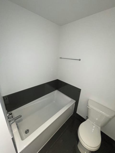 Combined shower/tub, jetted tub, hair dryer, bidet