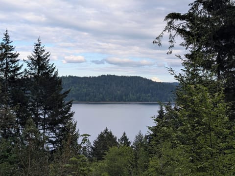 View of Mt Rainier and Hood Canal from deck