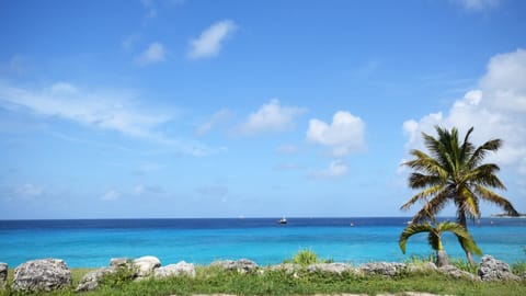 Beach nearby, beach towels