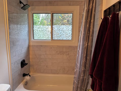 Combined shower/tub, hair dryer