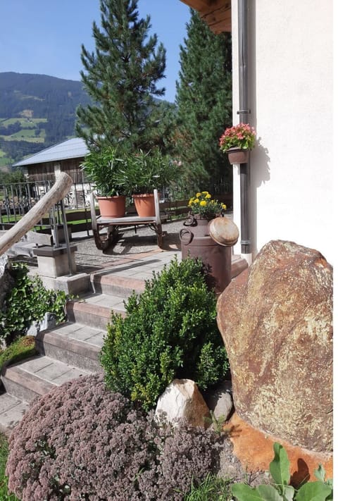 Plant, Property, Flowerpot, Sky, Building, Houseplant, Biome, Wall, Tree, Landscape