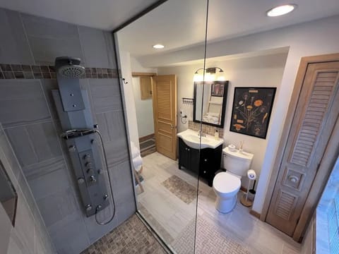 Shower, jetted tub, hair dryer, towels