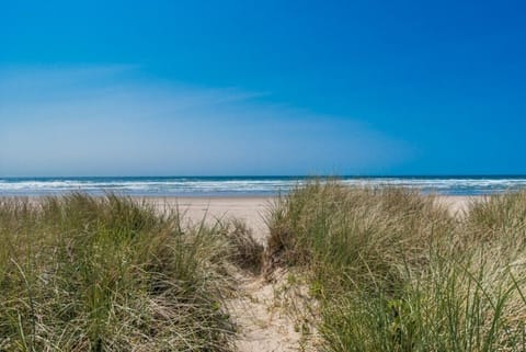 On the beach