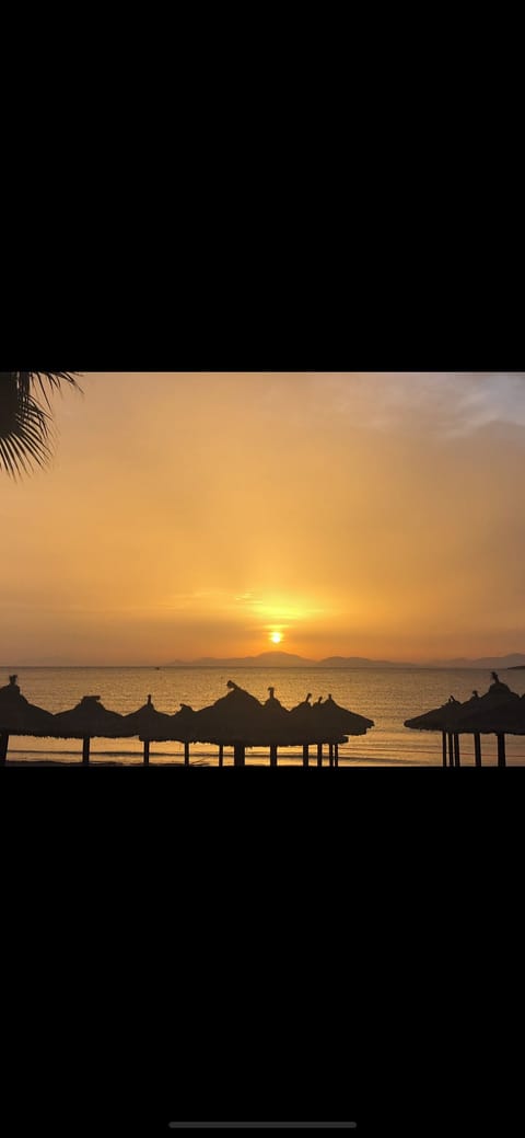 Sun loungers, beach towels