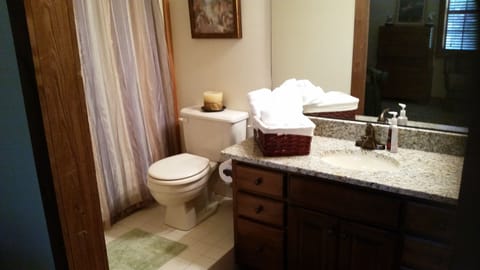 Shower, jetted tub, hair dryer, towels