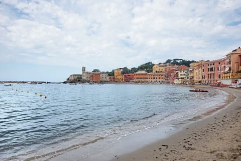 On the beach