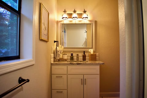 Blow-dryer, tissue, Q-tips, and hand soap all provided in the primary vanity.