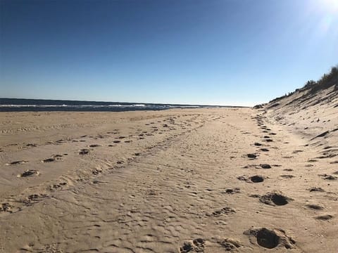 Sun loungers, beach towels