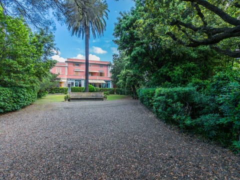 Plant, Cloud, Property, Sky, Natural Landscape, Window, Building, Vegetation, Road Surface, Landscape