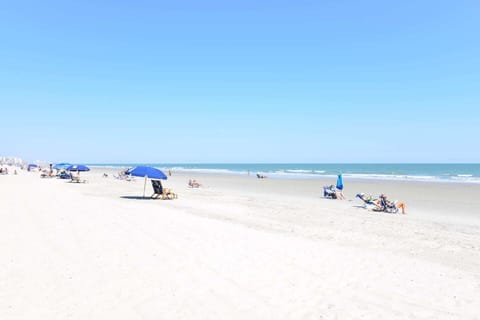 On the beach