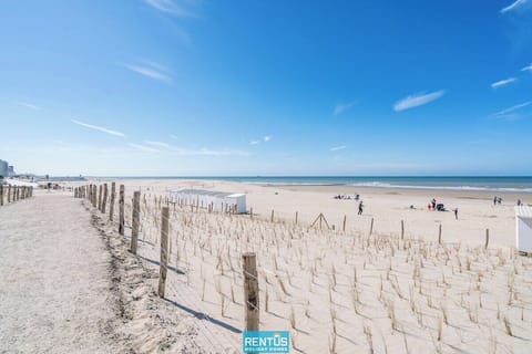 On the beach