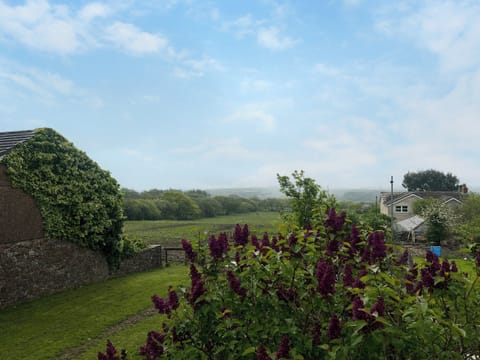 View | Elder Cottage, Bridgend